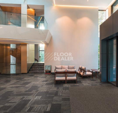 Forbo Coral Interior 1525 Prairie Dusk фото 2 | FLOORDEALER